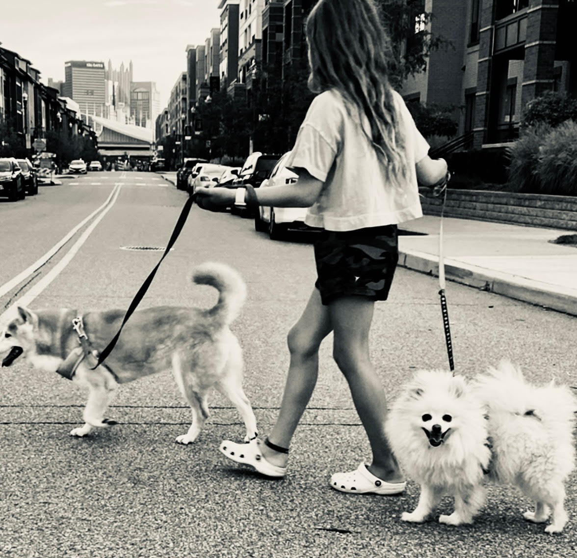 Pittsburgh Pup Walkers